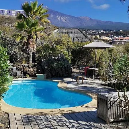 Bodeguita - Tabaiba By Tor