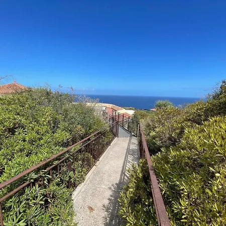 Bodeguita - Tabaiba By Tor