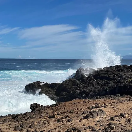 Bodeguita - Tabaiba By Tor 伊科德·德·洛斯·维诺斯