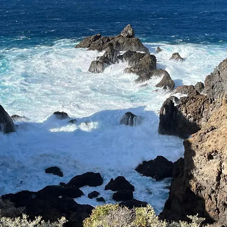 Bodeguita - Tabaiba By Tor *