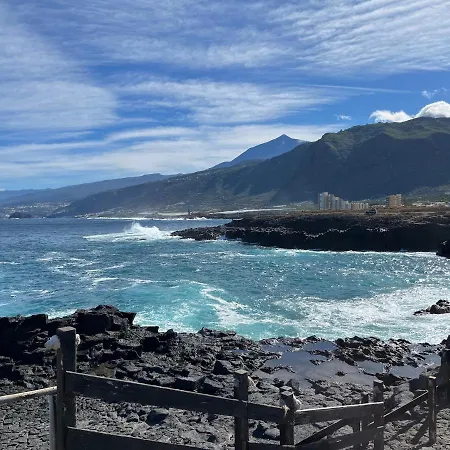 Bodeguita - Tabaiba By Tor *