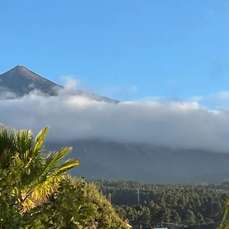 Bodeguita - Tabaiba By Tor * 伊科德·德·洛斯·维诺斯