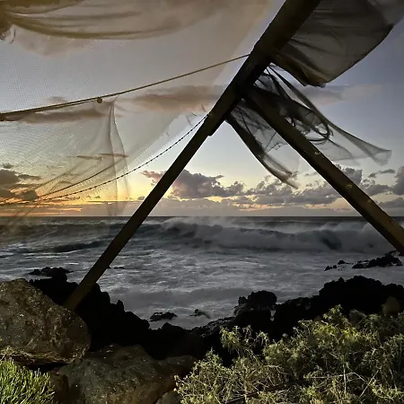 Bodeguita - Tabaiba By Tor