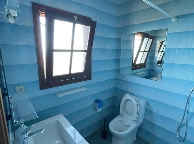 Bodeguita - Tabaiba By Tor