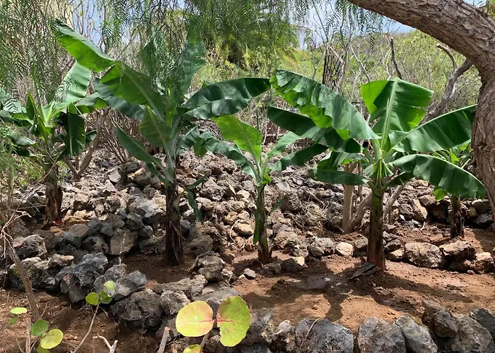 Дом отдыха Bodeguita - Tabaiba By Tor *