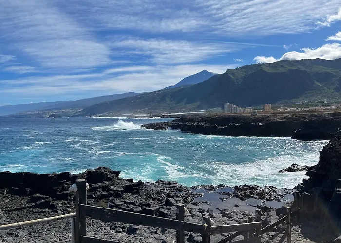 Bodeguita - Tabaiba By Tor *