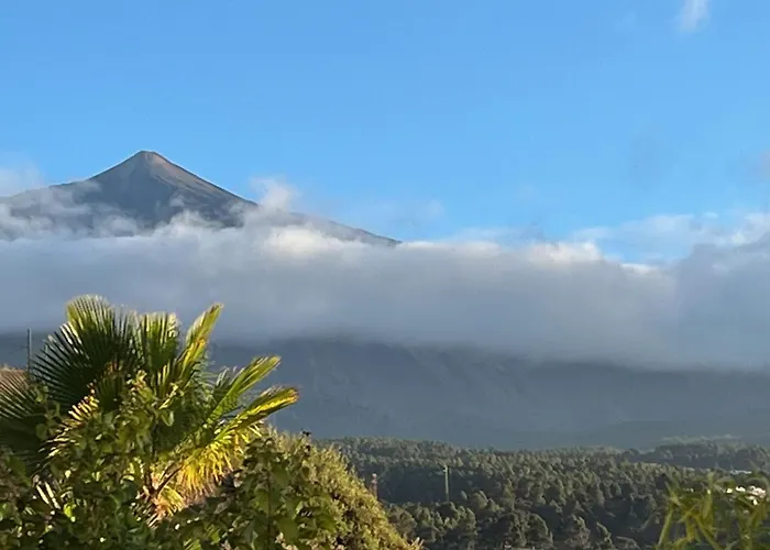 Bodeguita - Tabaiba By Tor * Икод-де-лос-Винос