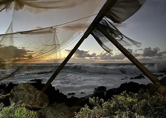 Bodeguita - Tabaiba By Tor