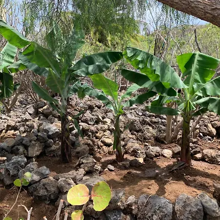 Prázdninový dům Bodeguita - Tabaiba By Tor *