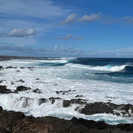 Bodeguita - Tabaiba By Tor