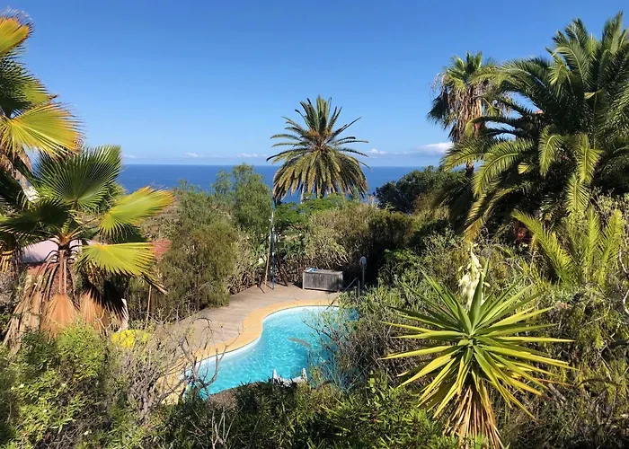 Bodeguita - Tabaiba By Tor