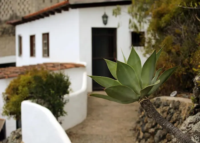 Bodeguita - Tabaiba By Tor * 이코드레로스비노스