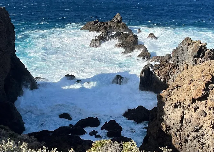 Bodeguita - Tabaiba By Tor *