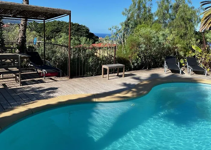 Bodeguita - Tabaiba By Tor *