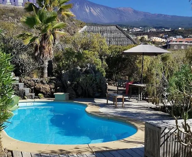 Bodeguita - Tabaiba By Tor