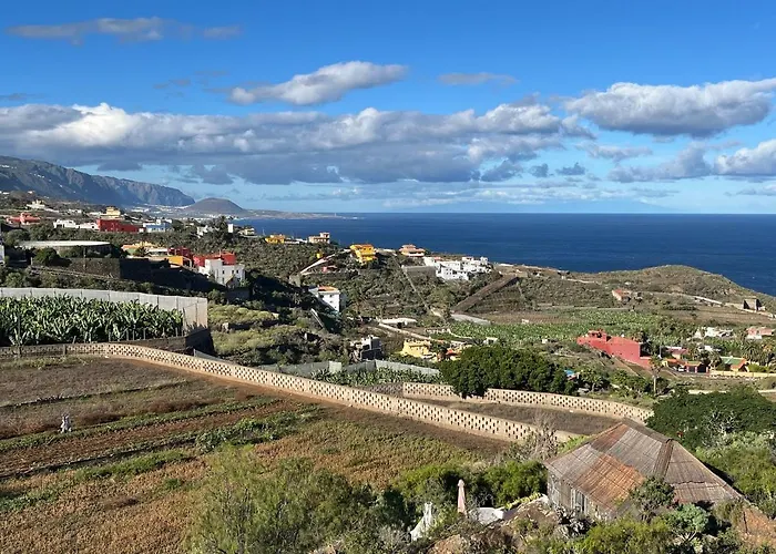 Bodeguita - Tabaiba By Tor