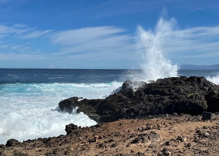 Bodeguita - Tabaiba By Tor Icod De Los Vinos